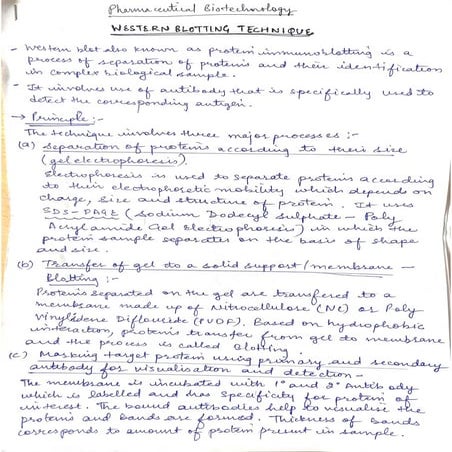 western blotting.pdf