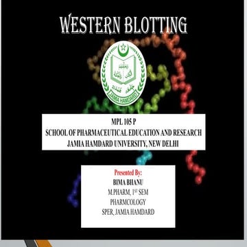 WESTERN BLOTTING - PROTEIN IDENTIFICATION .pptx