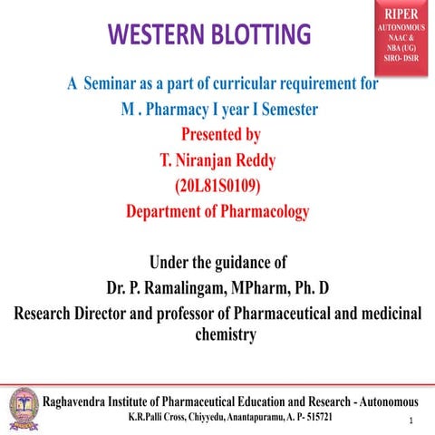 Western Blotting Technique.