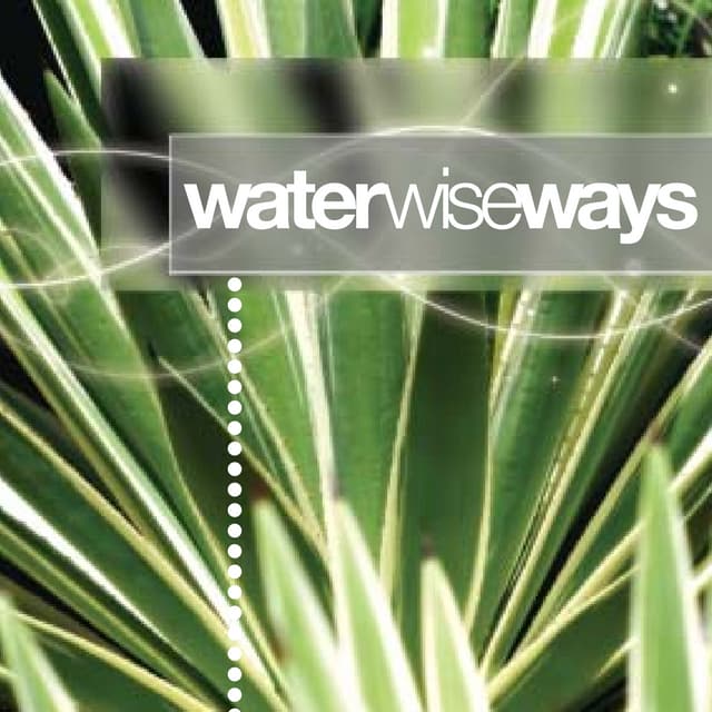 Garden Tips for the West Kimberley