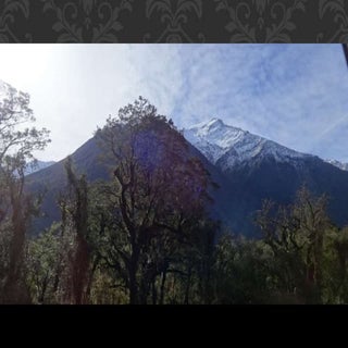 Westland new zealand