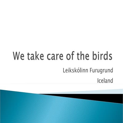 We take care of the birds