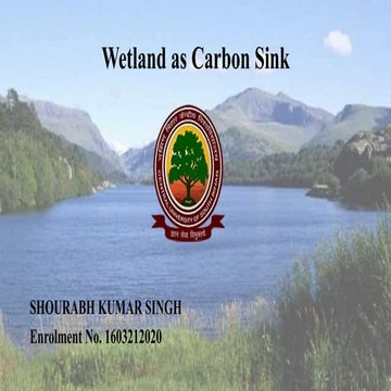 Wetland as carbon Sink