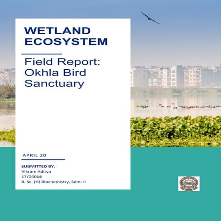 Wetland Ecosystem : Field Report Okhla Bird Sanctuary
