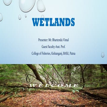 WETLANDS