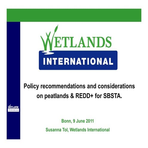 Wetlands intl presentation on peatlands and redd+