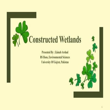 Constructed Wetlands