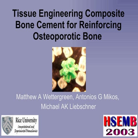 Tissue Engineered Composite Bone Cement For Reinforcing Osteoporotic Bone, 4/...