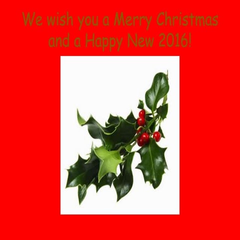 We wish you a merry christmas and a Happy New Year