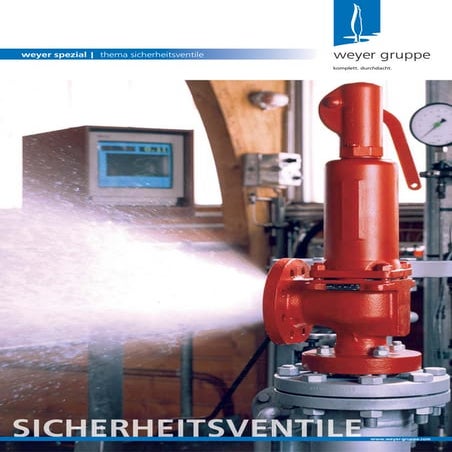 Sicherheitsventile | weyer spezial