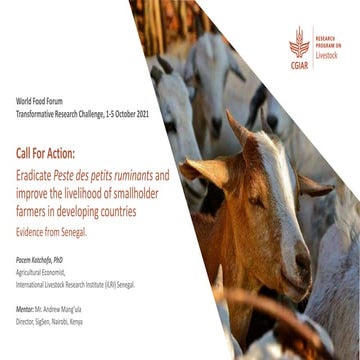 Call For Action: Eradicate peste des petits ruminants and improve the livelih...