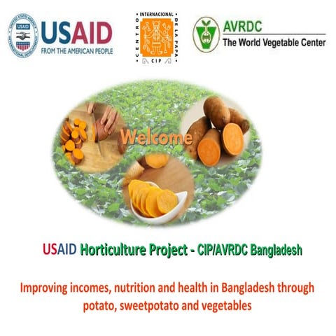 Improving incomes, nutrition and health in Bangladesh through potato, sweet p...