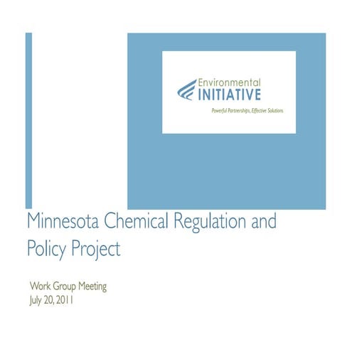 MN Chemical Regulation and Policy Project, Work Group Meeting 7/20/11