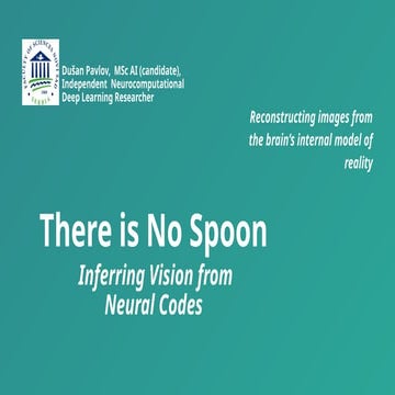 [DSC Europe 25] Dusan Pavlov - There Is No Spoon: Inferring Vision from Neura...