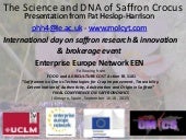 The DNA and Science of Saffron: A Research Impact Overview for Industry Stakeholders