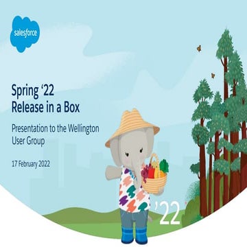 SFWelly user group spring '22 release highlights with Mel Macdonald