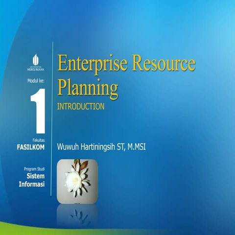 Wh   ERP INTRODUCTION