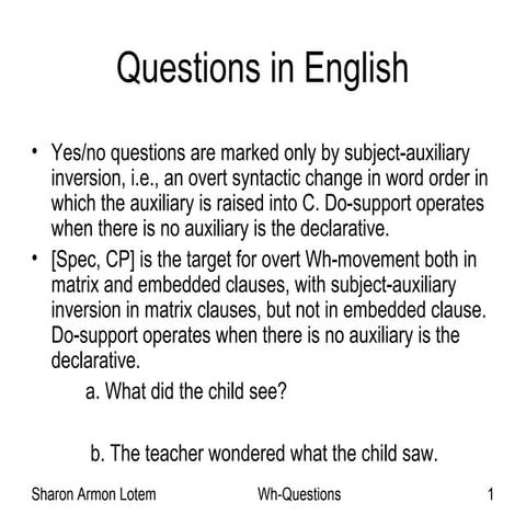 Wh questions by ami