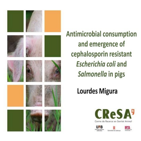 Sponsor Day on animal feeding: Antimicrobial consumption and emergence of cephalosporin resistant Escherichia coli and Salmonella in pigs 