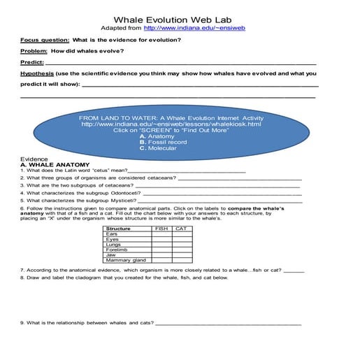 Whale evolution-web-lab-1e4svwj