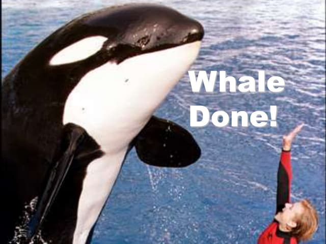 Whale Done-The Power of Positive Re...