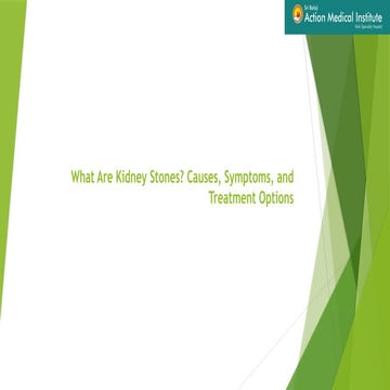 What Are Kidney Stones? Causes, Symptoms, and Treatment Options