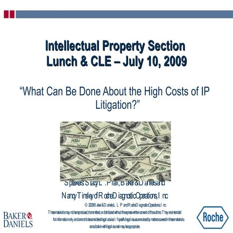 What Can Be Done Ip Litigation Prall