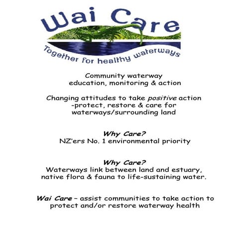 What Can Wai Care Groups Do 2
