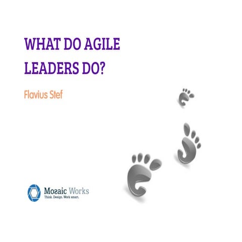 What Do Agile Leaders Do