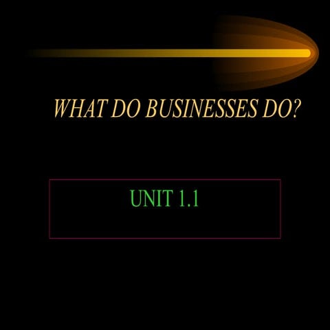 What Do Businesses Do?