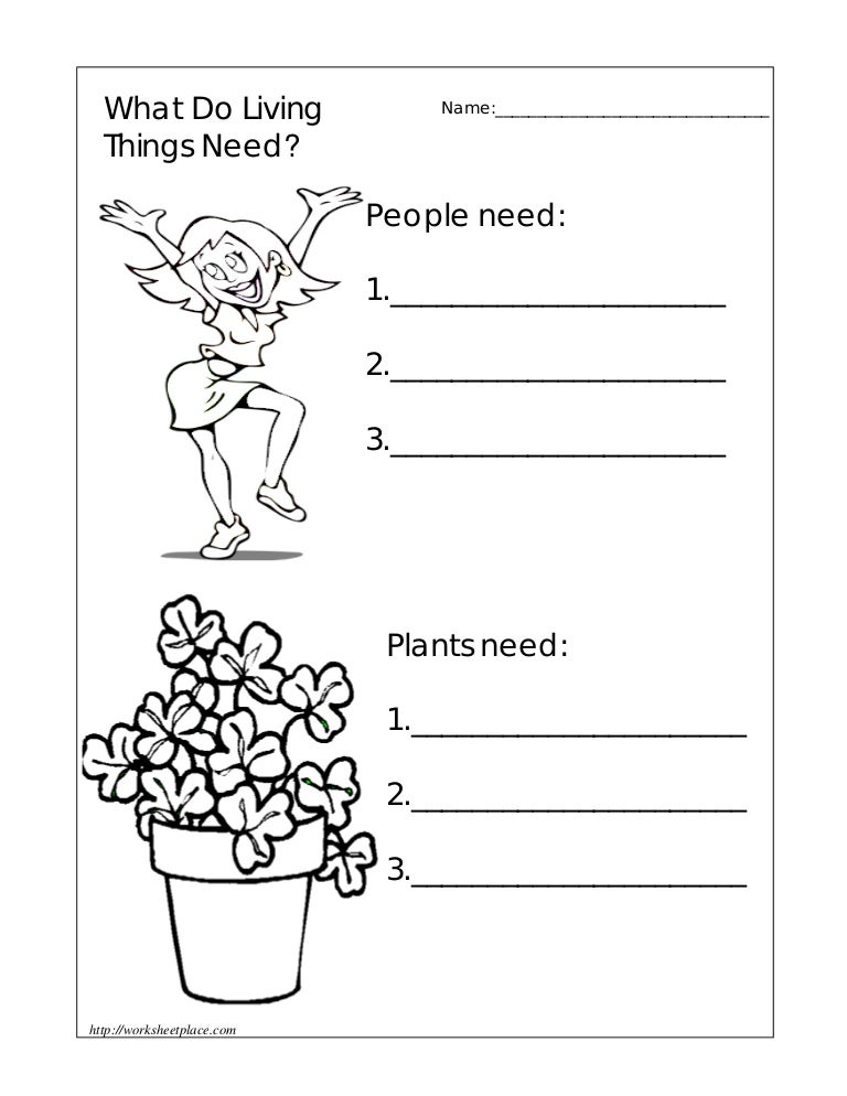 What dolivingnonlivingthingsneed