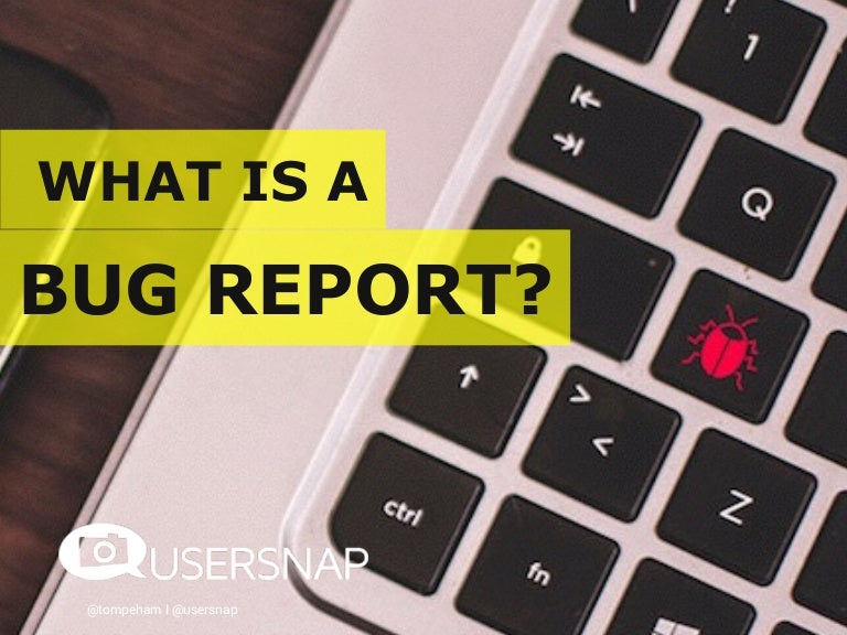 What Is A Bug Report? A Definition Of A Bug Report