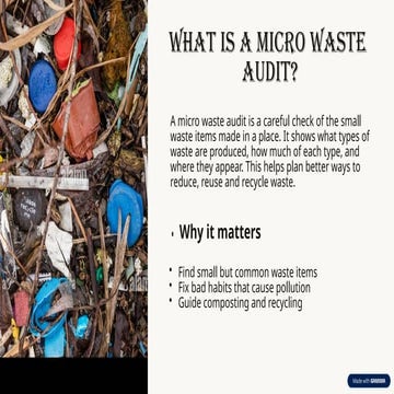What-is-a-Micro-Waste-Audit.PRESENTATION.pptx