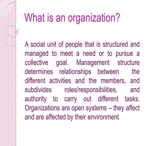 What is-an-organization-pp-for-report