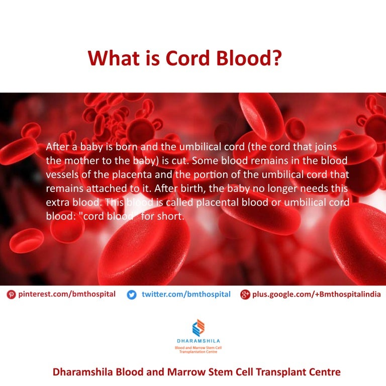 What is Cord Blood?