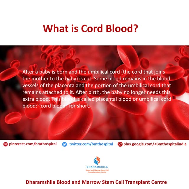 What is Cord Blood? PDF