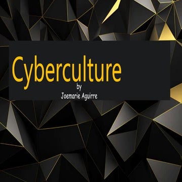 the cyber culture and culture diversify.