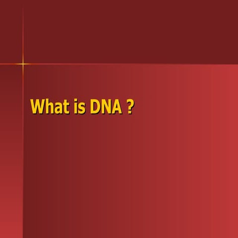 What Is Dna