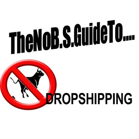 The No BS Guide To Dropshipping...A  First-Time Introduction For Wholesale Dr...