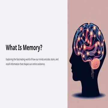 Understanding Memory: How Our Minds Encode, Store, and Recall ...