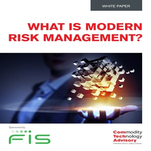 What is Modern Risk Management?