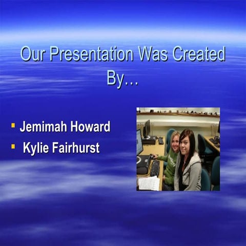 What Is The Difference Between A Vector Based