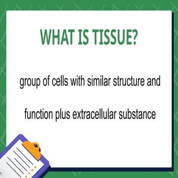 The TISSUE anatomy and physiology ncm 001 Biology Diagrams