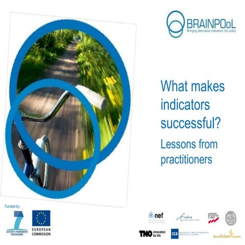 What makes indicators successful? Lessons from practitioners