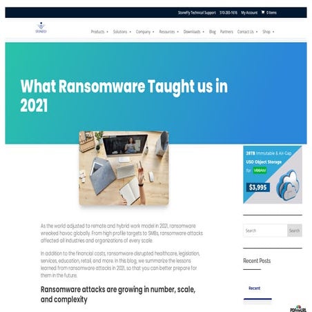 What Ransomware Taught us in 2021?