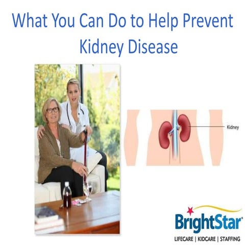 What You Can Do to Help Prevent Kidney Disease