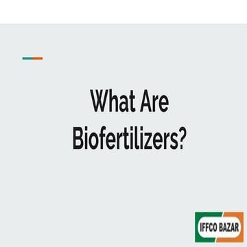 What Are Biofertilizers?