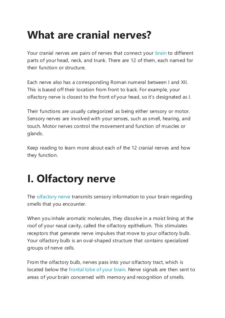 What Are Cranial Nerves What Are Cranial Nerves