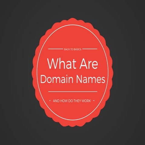 Back to Basics: What Are Domain Names and How Do They Work