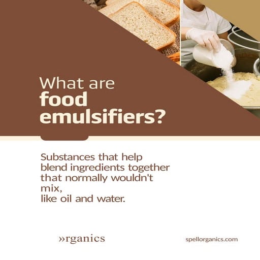 What are food emulsifiers-spell organics